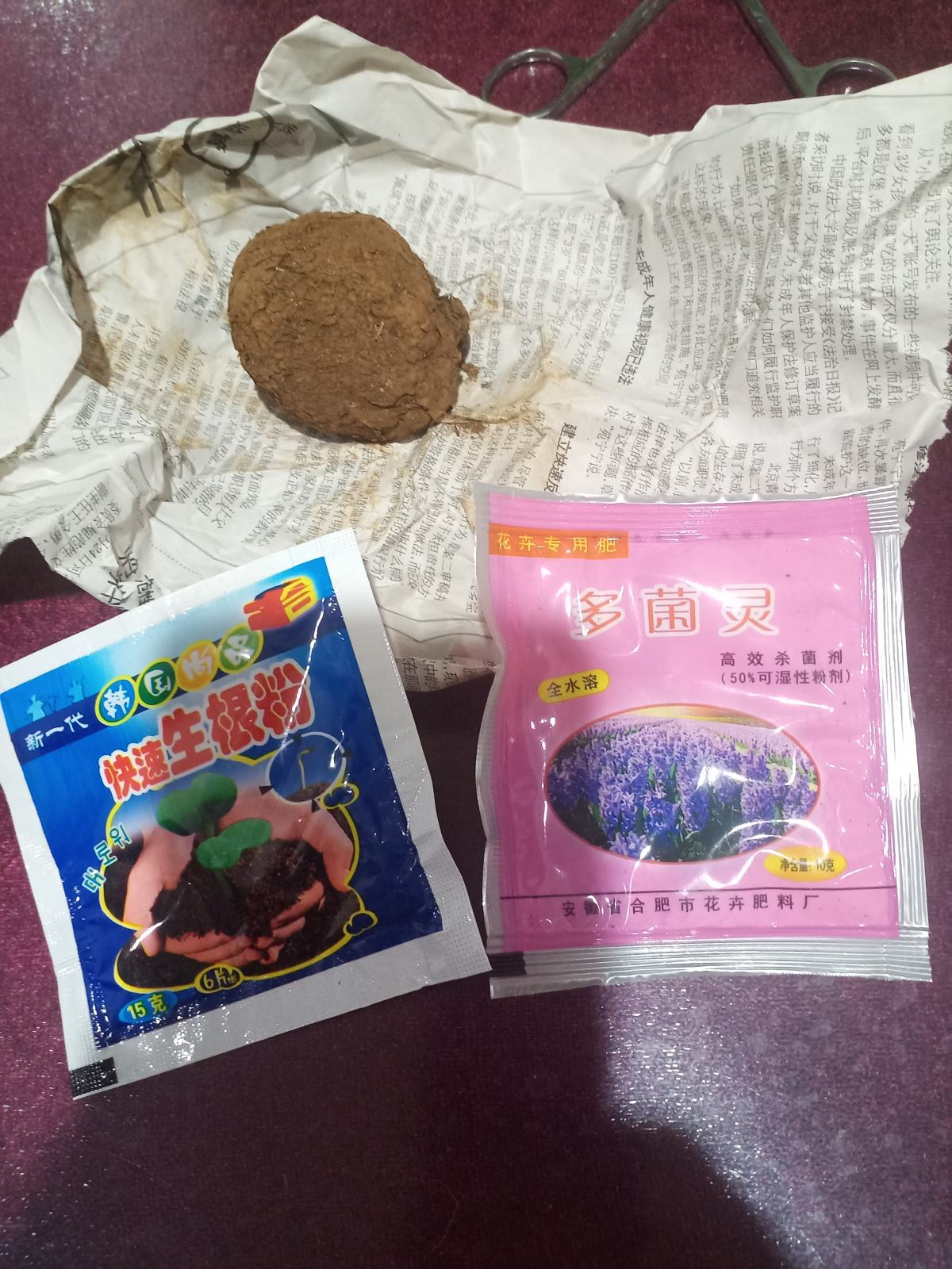 植物生长需要什么（4种养花常备的必需品介绍）