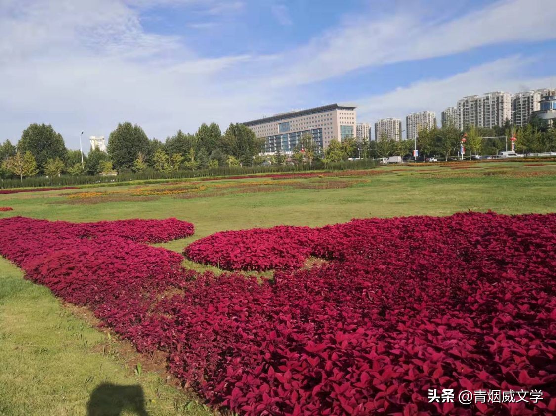 秋意渐深风光美，红花绿叶织涵芳