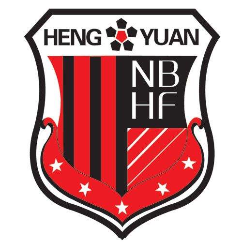 足球队的队旗(队旗收藏之上海申鑫足球俱乐部 SHANGHAI SHENXIN FOOTBALL CLUB)