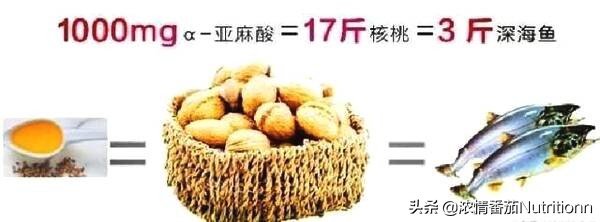 宝宝补充DHA从什么时间开始补充最好？有哪些注意事项？