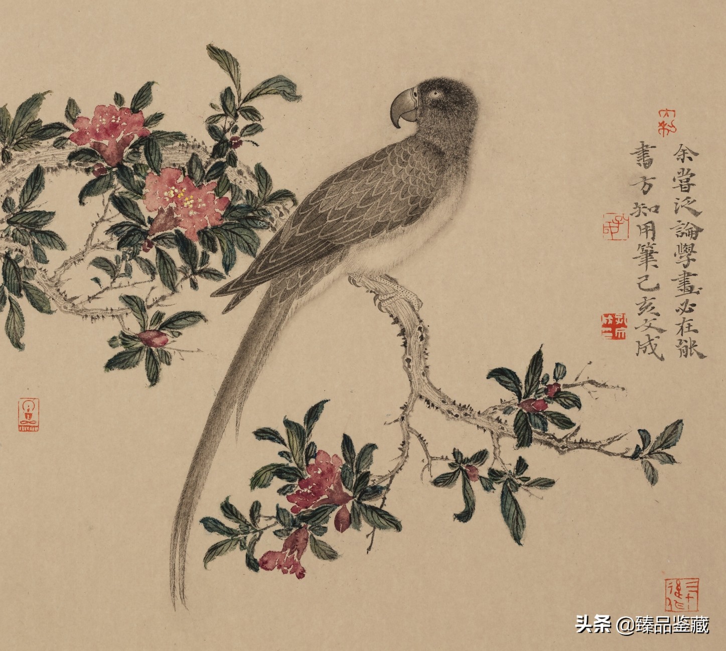 走到黑走到明 | 孔文成花鸟画的脉路