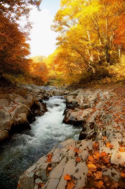 「诗词鉴赏」古诗词里的山中秋色，气象万千，摄人心魄的美丽