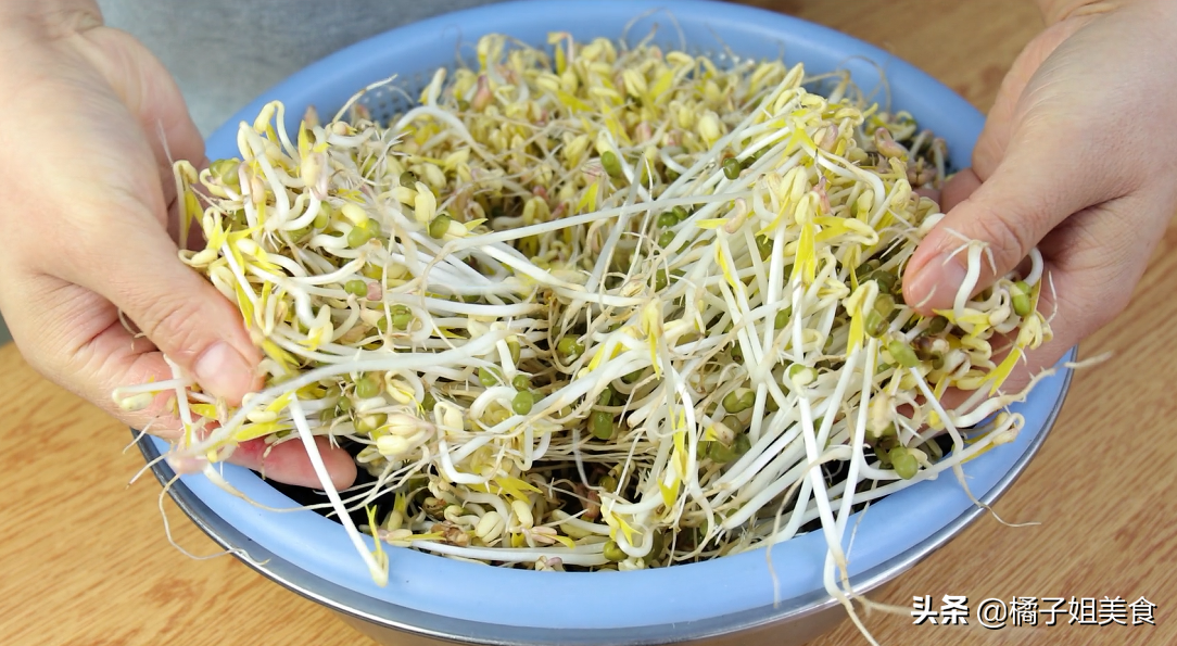 绿豆怎么发芽成豆芽，绿豆发芽成豆芽的过程分享？