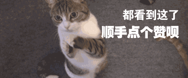 猫咪流眼泪可能是以下6种原因，铲屎官们知道几种？