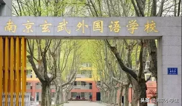 苏杰、致远、仙外……南京民办小学师资、特色大比拼！