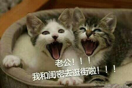 死党是什么意思 男女死党是什么-伙伴百科网-让你的生活充满快乐