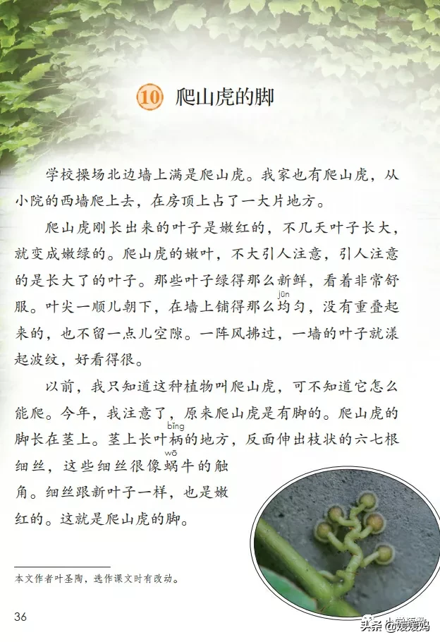 萎的四字词语（茎的四字词语）-第1张图片-尚力财经