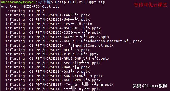 为什么Linux系统下U盘文件会出现乱码问题？  第1张