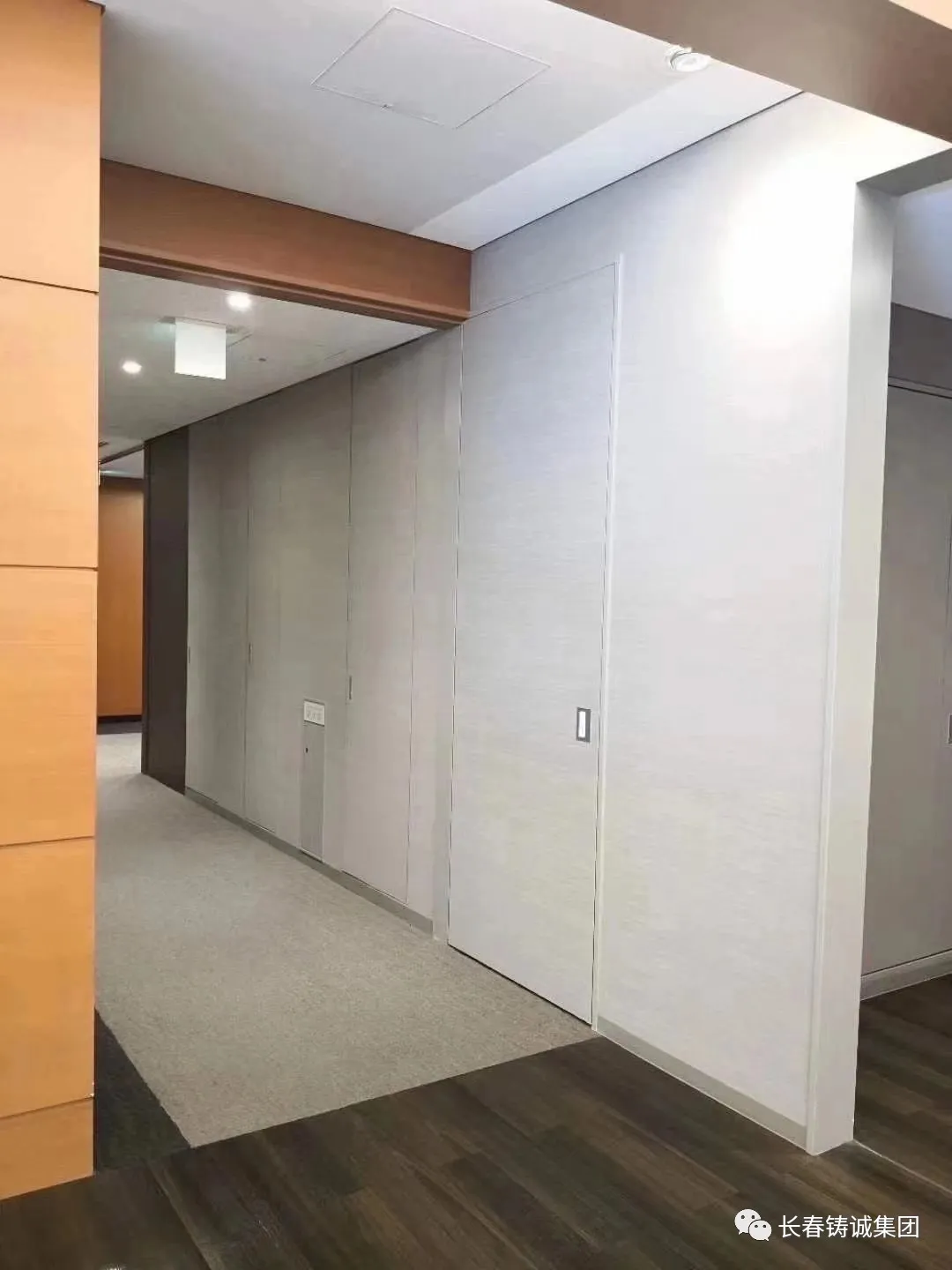铸诚超大隐藏防火门，你门的主场，由你说了算
