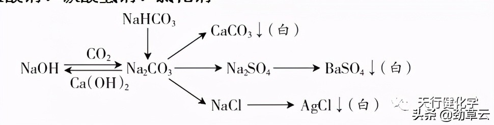 氢氧化钠和氯化钡（中考专题复习物质的转化与推断）