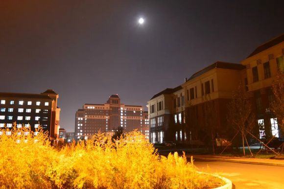 两所省属重点高校，录取分470—550左右！就业率很高，值得报考