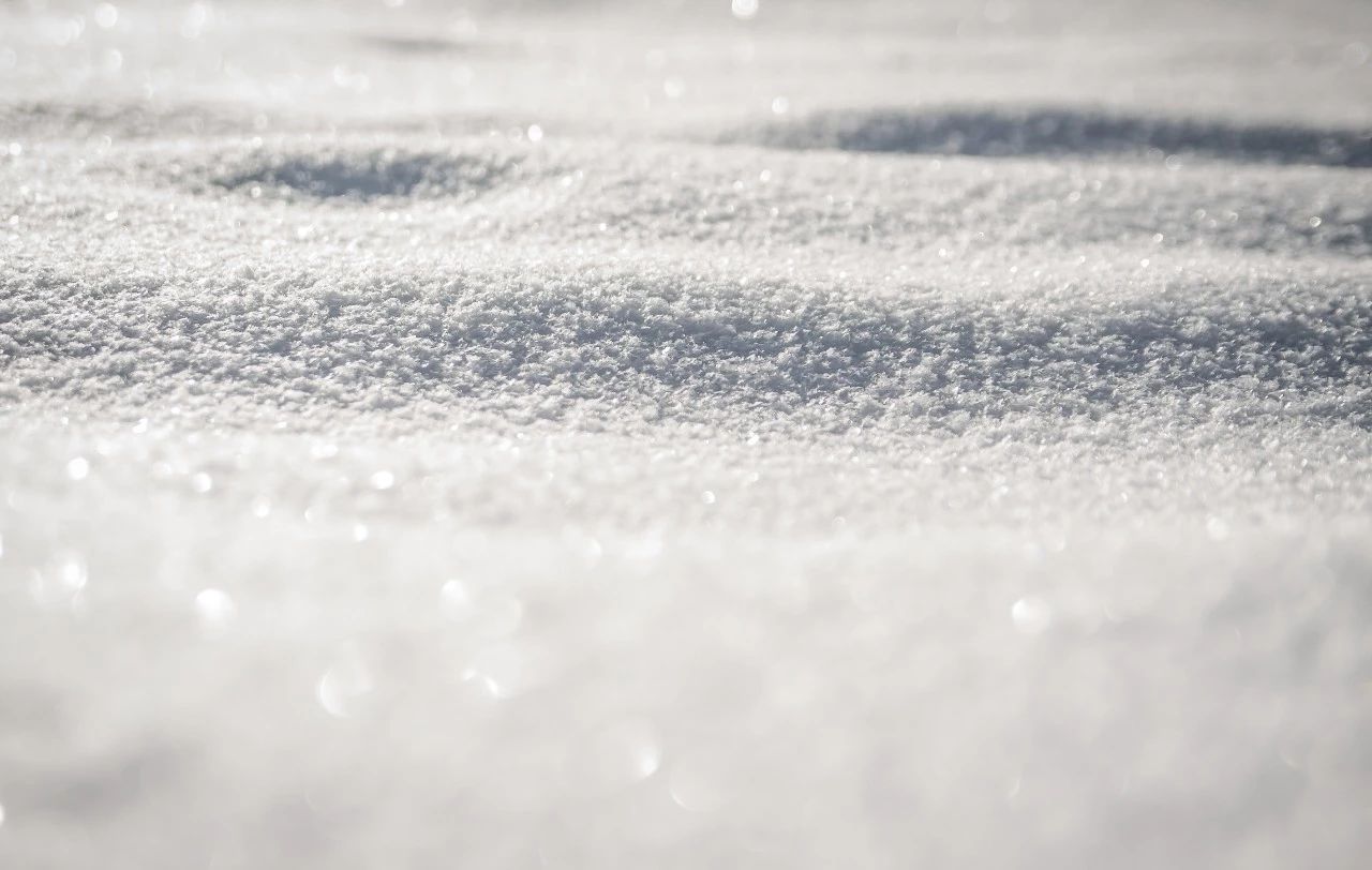 晚来天欲雪，能饮一杯无？