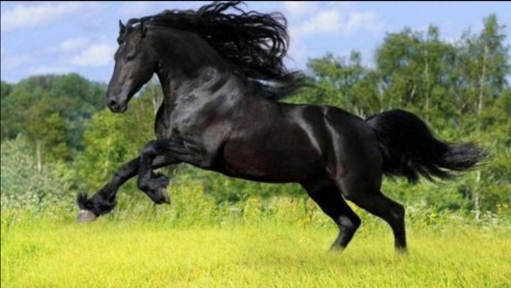 十年来合肥进步最大的一所初中，多次弯道超车，成功的秘诀在哪里