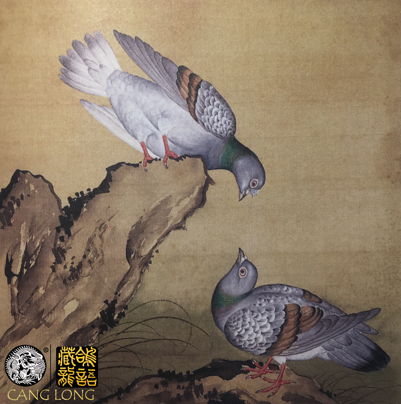 听中国赛鸽顶流老前辈们侃鸽经