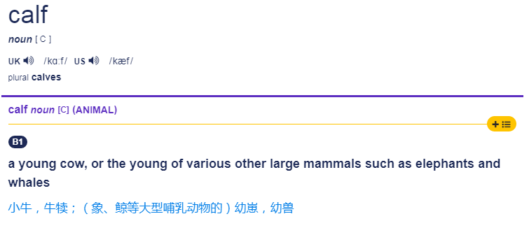 猫的英文是cat，那“小奶猫”的英文是啥？总不能说little cat 吧