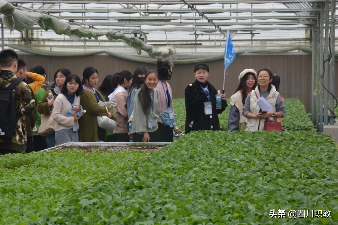 德阳有两所单招名校，被誉为工农村“清华北大”