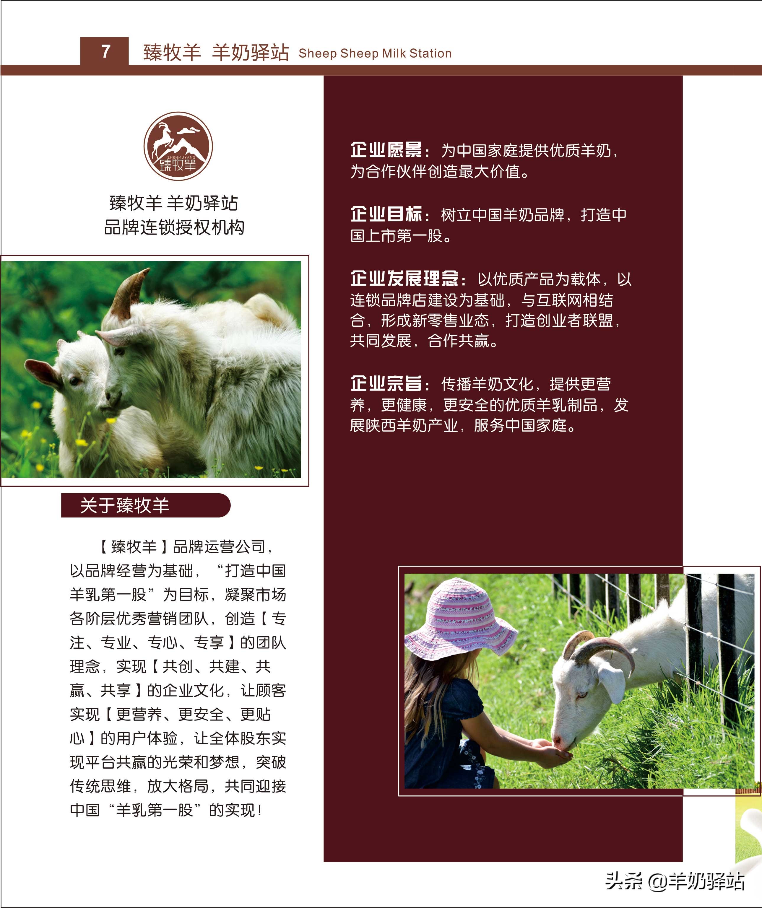 投资几万元，盈利几十万！羊奶驿站全国连锁加盟项目招商说明