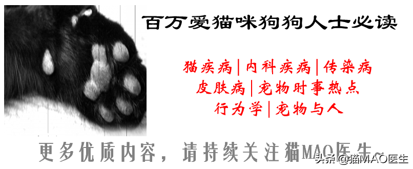 猫咪腹泻的9大原因，通常简单治疗可以康复，但特殊病因需要排查