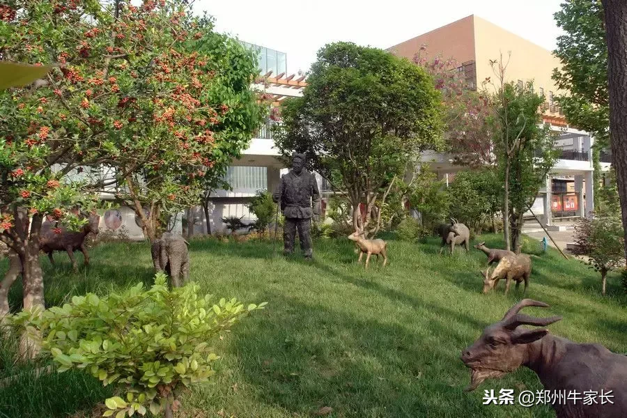 管理轻松但成绩拔尖，常年稳居郑州前三！这一所高中凭什么？