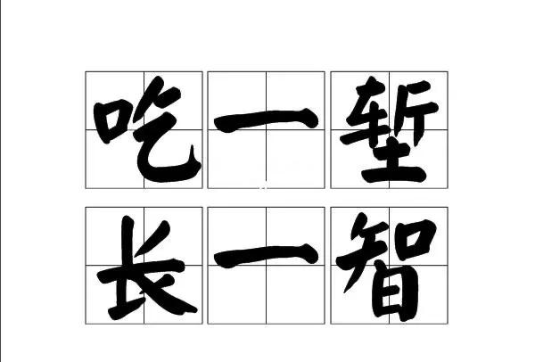 吃一堑长一智的意思 吃一堑长一智的读音-星星快文