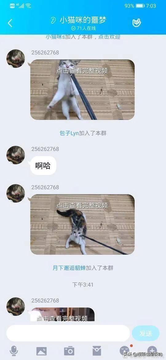 山东理工大学学生范源庆虐杀流浪猫事件事情始末