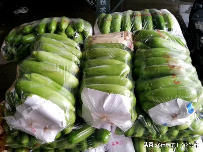 咸阳新阳光韭菜今日价格，咸阳新阳光蔬菜批发市场