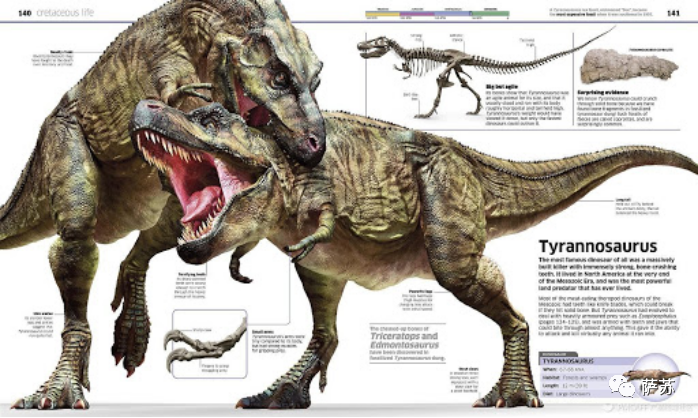 恐龙王朝进化的赢家图片
