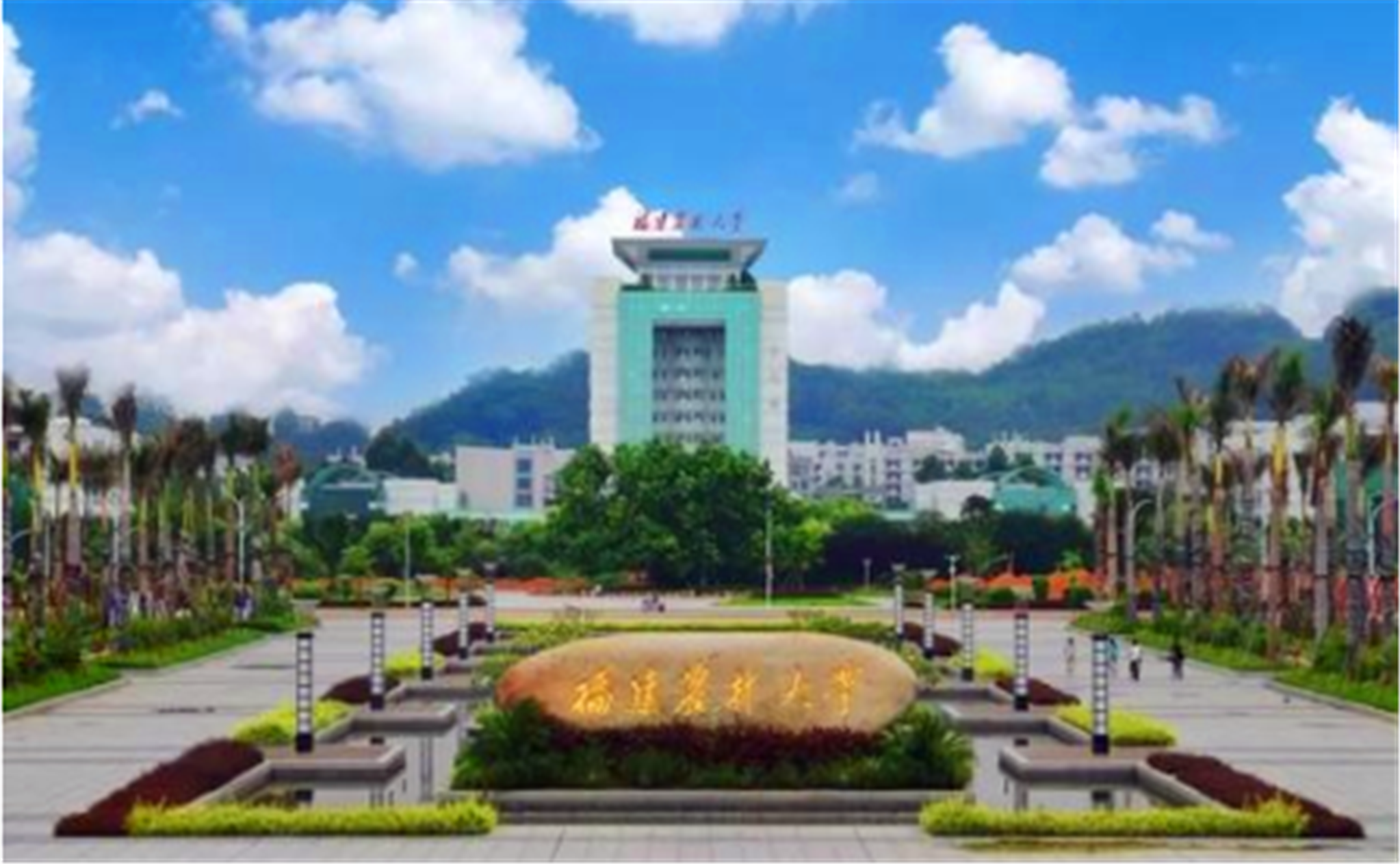 福建农林大学分数线（福建农林大学VS福建集美大学）