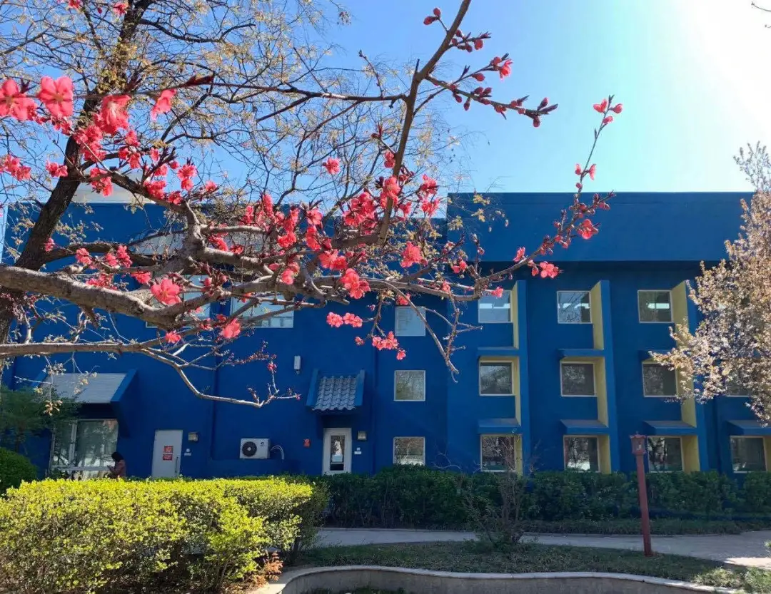 数说升学 | 北京京西学校如何做到学子遍布世界名校？