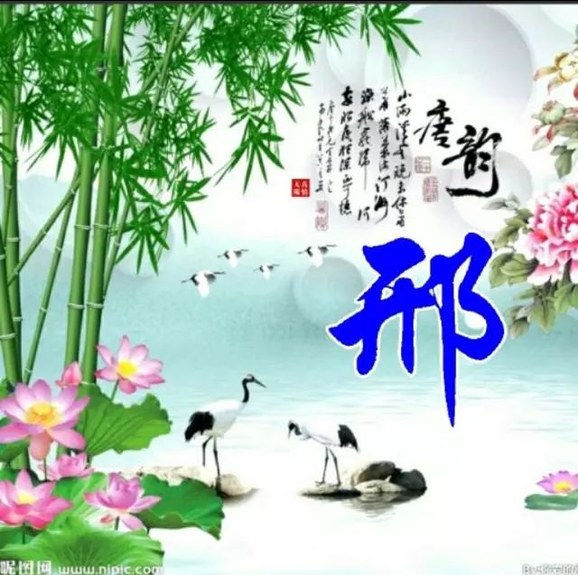 以竹报平安，家和富贵为题的姓氏微信头像（100张），太漂亮了