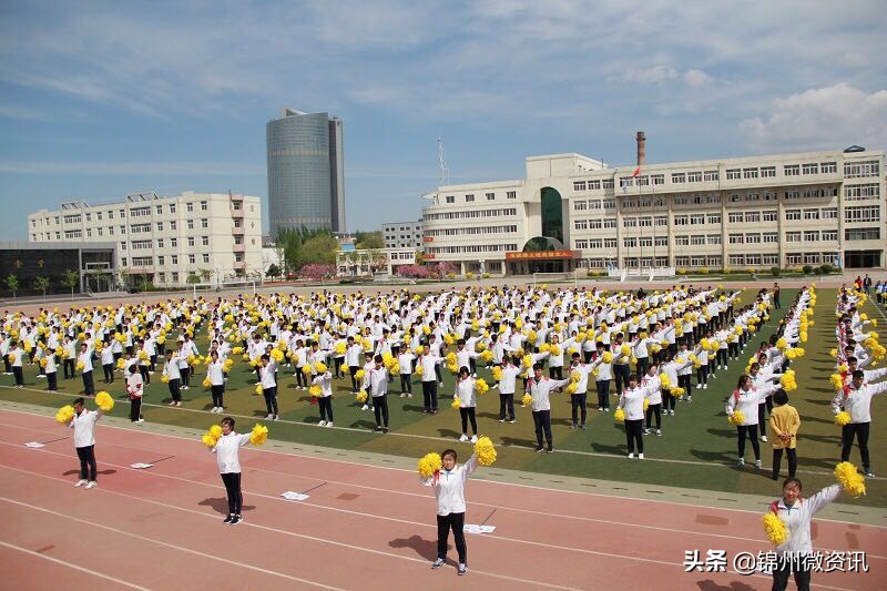 锦州市实验学校（锦州市实验学校一年级报名介绍）