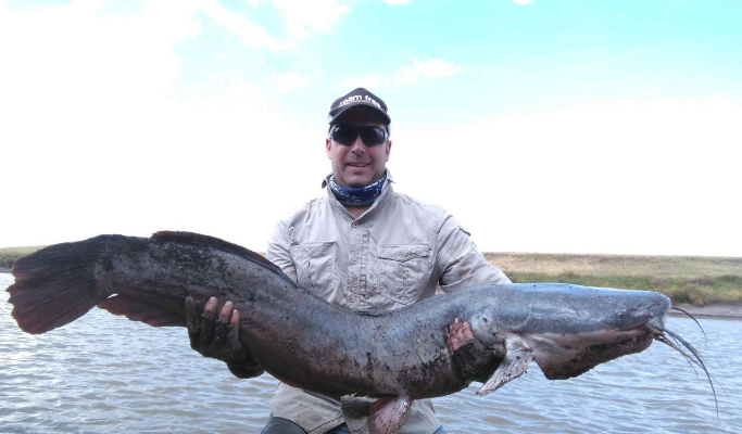胡子鲶鱼图片(埃及胡子鲶侵入华南) - 赤虎壹号