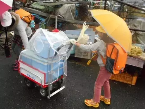 日本孤岛上的公立学校，仅11名学生，却告诉我们什么是真正的教育