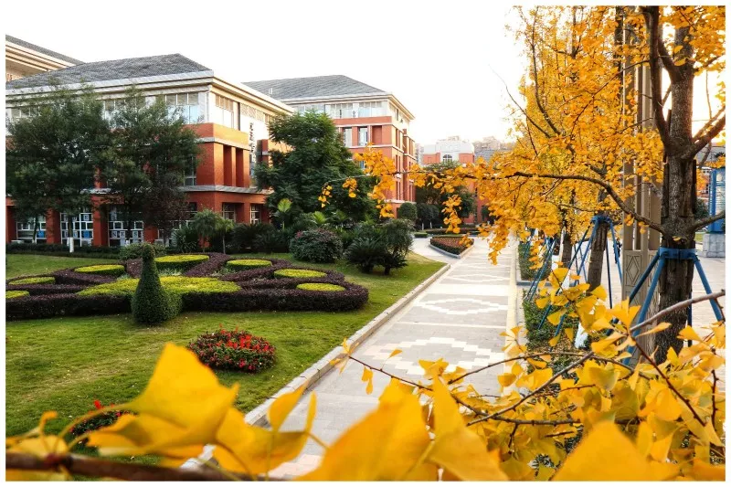 全国第一所文化产业高职院校，素有文产类“黄埔军校”美誉