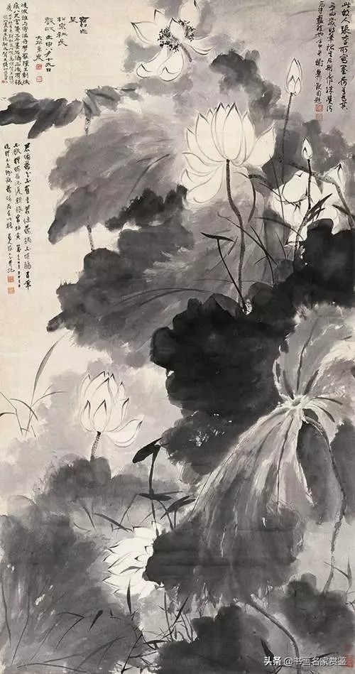 荷叶罗裙一色裁，芙蓉向脸两边开——张大千画荷（一）