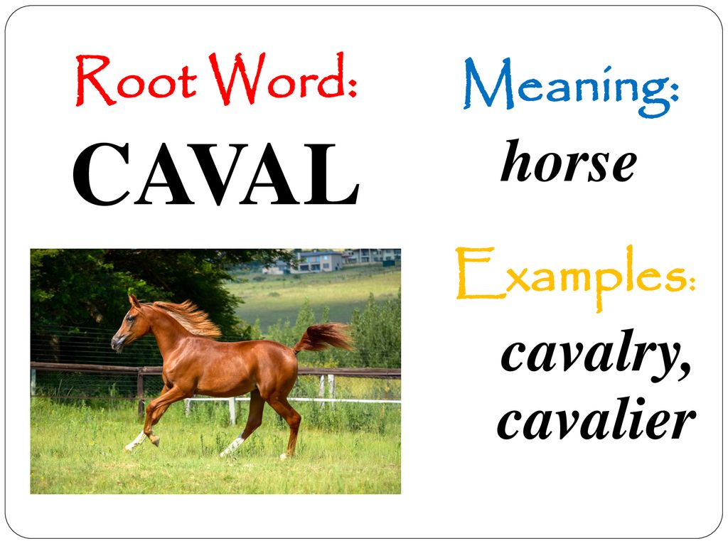 马的英语单词记忆方法：horse怎么记？