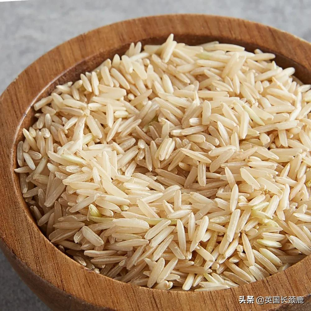 米的种类都有哪些图片