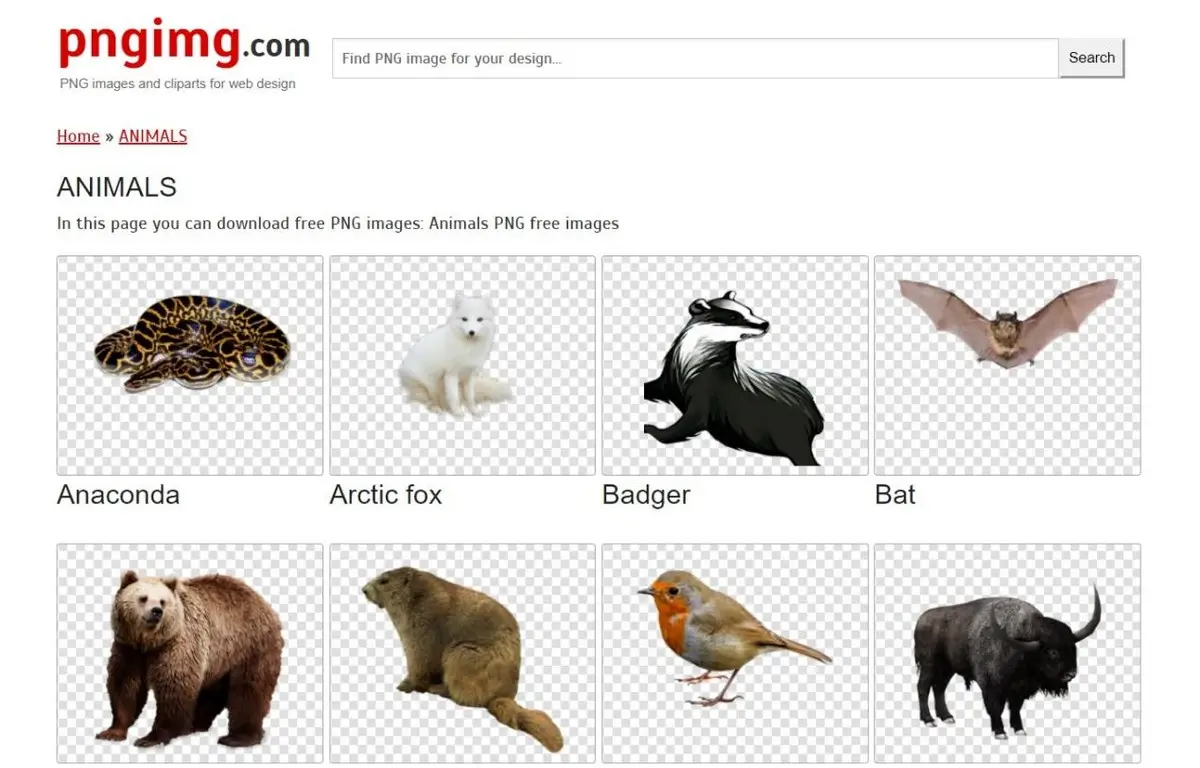 国外图片素材网站有哪些（全球10大免费无版权图片网站）
