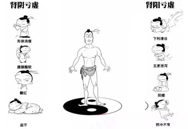 肾阳虚食疗补肾方