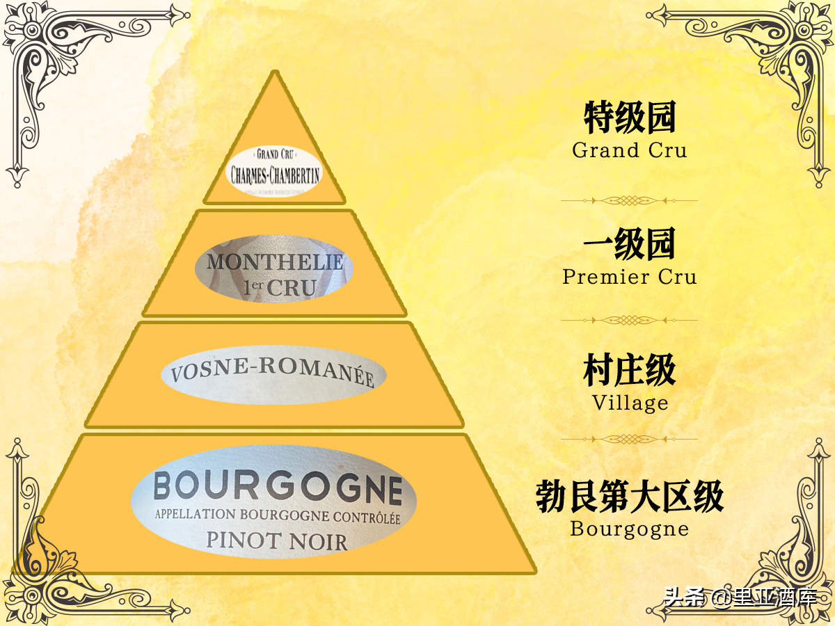 你还不知道葡萄酒酒标上透露出的这些信息吗？