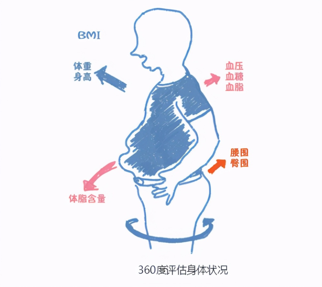 了解自己的身体：体质指数和身体成分