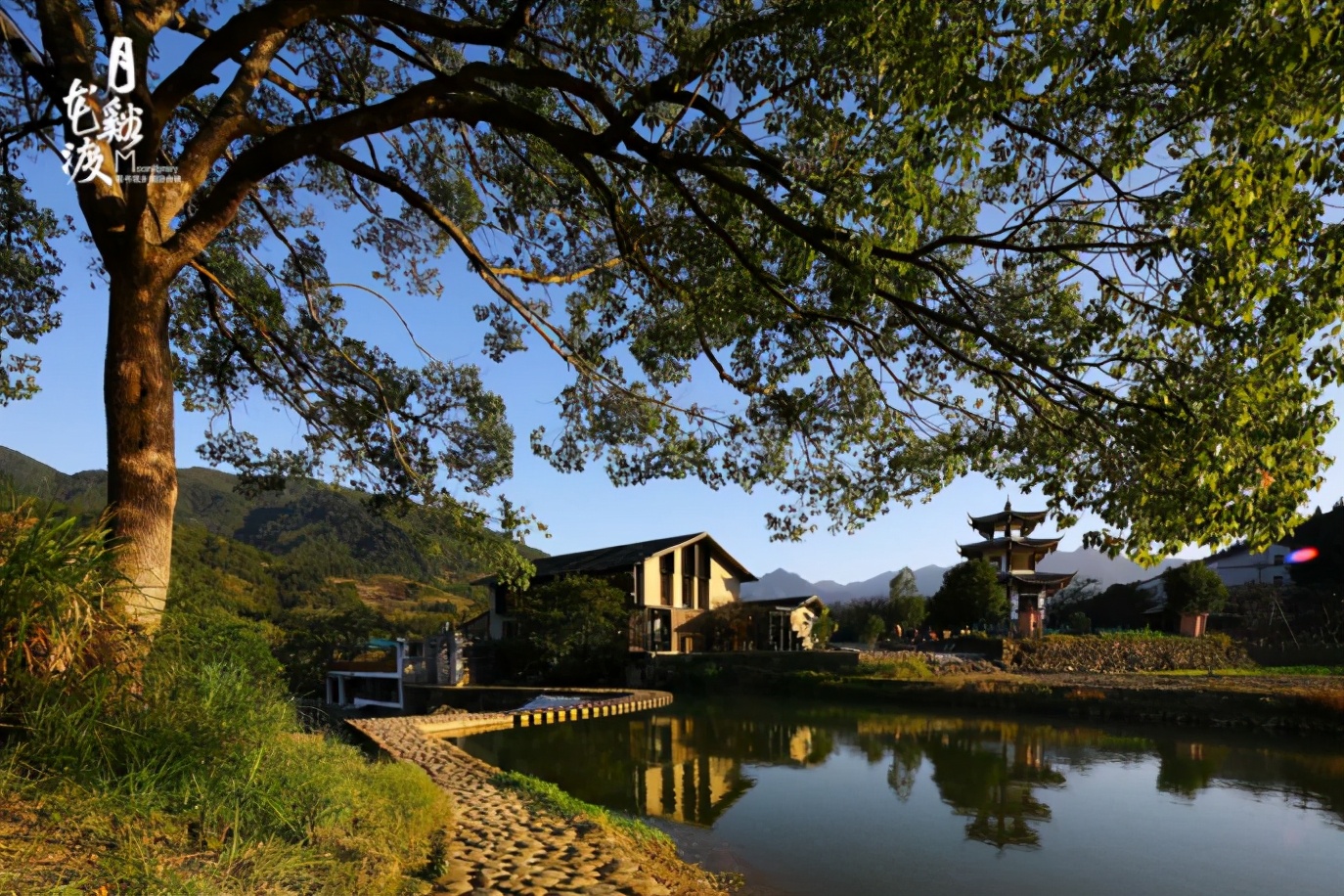 栖一座小院，静守岁月流年，从福州的这些民宿里开始