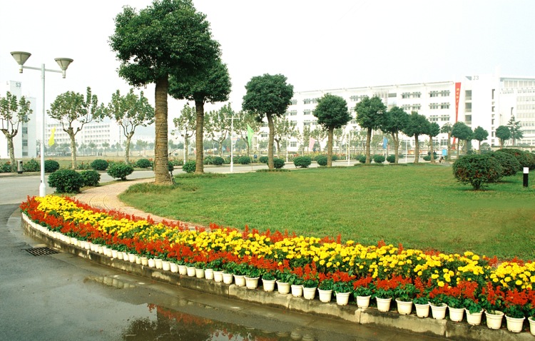 刘芳美术245分预估文化520分，能被南京师范大学录取吗？