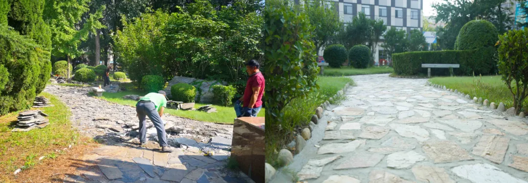 新学期，大工校园变啦