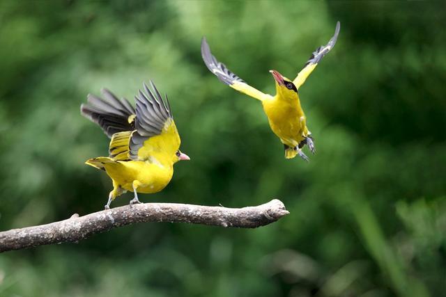 跨越时空的隐逸之风——浅析王维、孟浩然山水田园诗特色