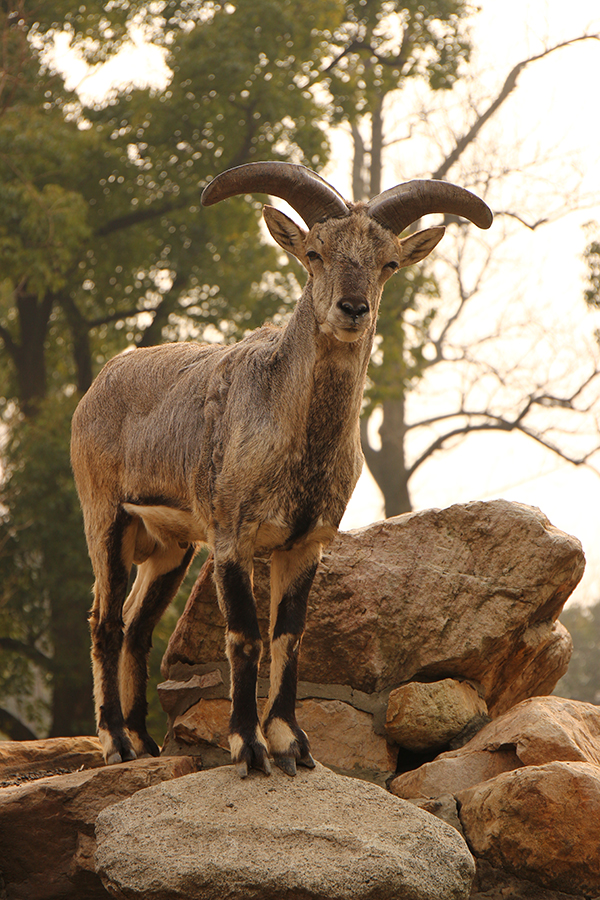 ch1.com.cn/b/13992.html