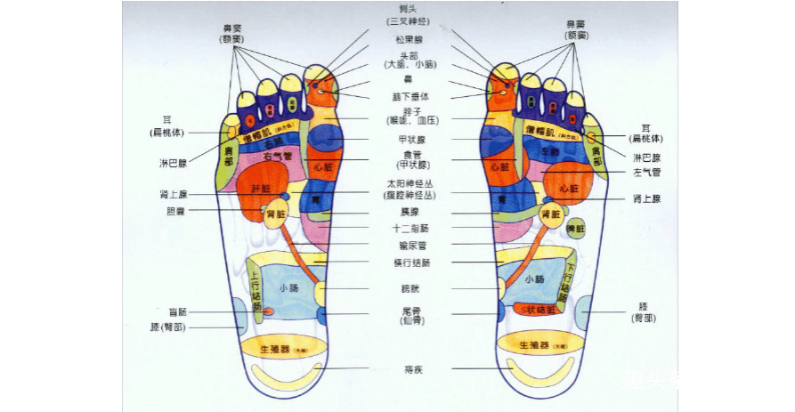 长不长寿？看脚就知道！脚上出现5个变化，预示有潜在大病