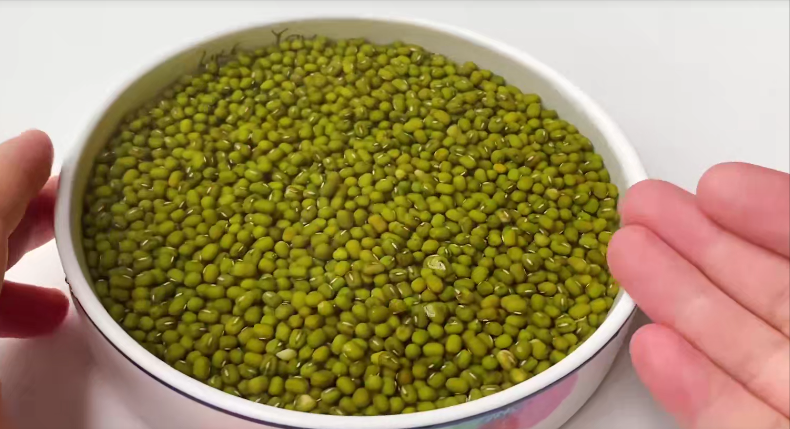 绿豆粥怎么做好吃又简单，夏天绿豆粥的制作方法窍门