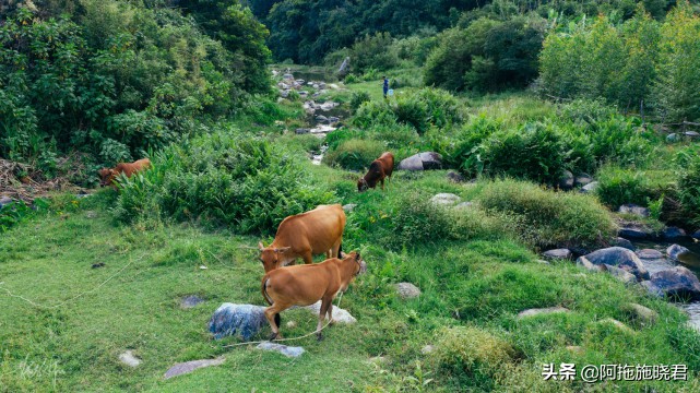 泉州哪里可以露营(泉州不过夜露营合辑，放归山野，活在风景里)