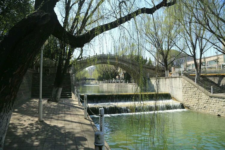 梦想花开，走进山东财经大学的春天！